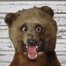 the content is good (original version)'s profile picture
