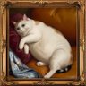 Profilbild von morosemoomin