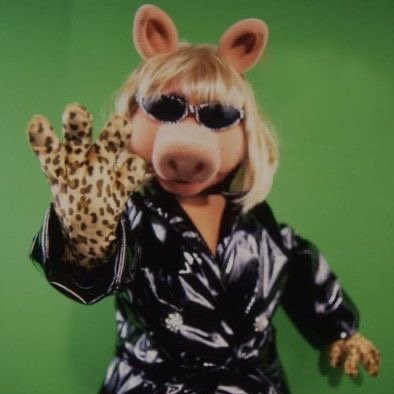 muppetsleaze's profile picture