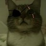 Profilbild von Cyphrenix