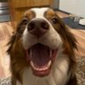 M. Gerard G.'s profile picture