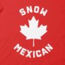 South Detroiter 🇨🇦's profile picture
