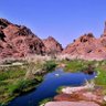 Фото профиля محناب