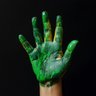 GreenDana's profile picture