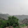 Profilbild von القناص