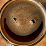 Profilbild von Malo