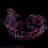 Фото профиля G̠e͕͎ͤ͆n̳͈̾t̶ͯ̄̕l̔ͦ̔̍͆̆e͓̳͔̍̌̉͌̈ͭ̾ͨņ͍̀d̤̠ͤ̓y̢̺̋ͥ.