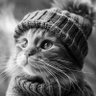 Nayowmers profil fotoğrafı