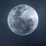 ari.boy63's profile picture
