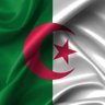 walidhrt's profile picture