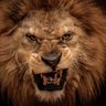 Фото профиля axinosp(HODL)