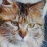 jeanne russell's profile picture