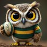 F1owls 的头像
