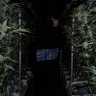 Фото профиля Z