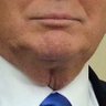 Trump's Neck Vagina profil fotoğrafı
