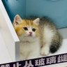 希尔 profil fotoğrafı