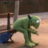 distraught kermit profil fotoğrafı