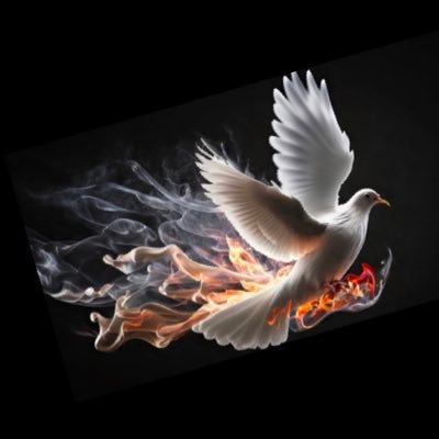 USABeachBlonde's profile picture