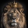 DAVID's profile picture