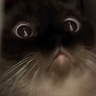 คลุกฝุ่น's profile picture