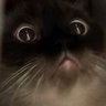 Profilbild von คลุกฝุ่น
