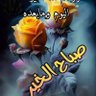 Фото профиля محمد جلوب