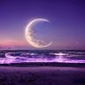 すぴねる R༅🐍 profil fotoğrafı