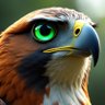 Lady Hawk's profile picture