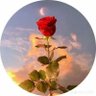 .'s profile picture