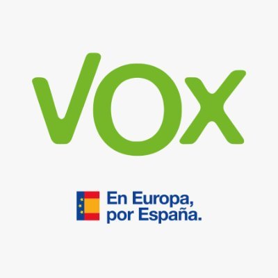 VOX Europa's profile picture
