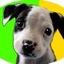Profilbild von Klem