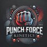 PunchForceKinetics's profile picture