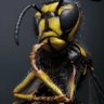 BaticA profil fotoğrafı