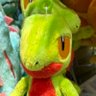 こうき profil fotoğrafı