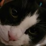 Profilbild von Aylinisy