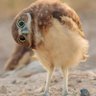 Profilbild von Hag