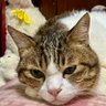 masatami kasagi profil fotoğrafı