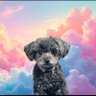 Brenda profil fotoğrafı