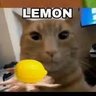 Фото профиля Likely Lemons