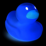 pedantic uncertaintist duck 的头像