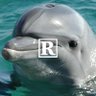 SUPREME LEADER (🐬,🐬)'s profile picture