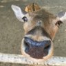 Casino Buddy's profile picture