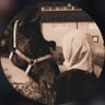 Profilbild von طيبة