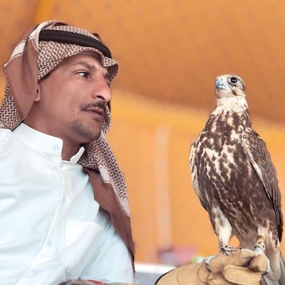 7ob404's profile picture