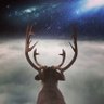 Reindeer to the Moon's profile picture