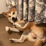 Neoo's profile picture