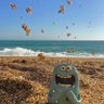 QL's profile picture