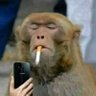Mbova's profile picture