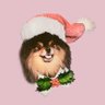 happyb𝗲l⁷ 的头像