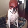 ben.._'s profile picture